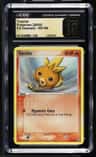 Torchic