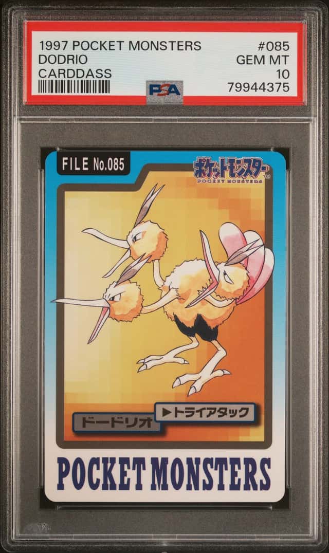 Dodrio