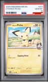 Ethan'S Pichu