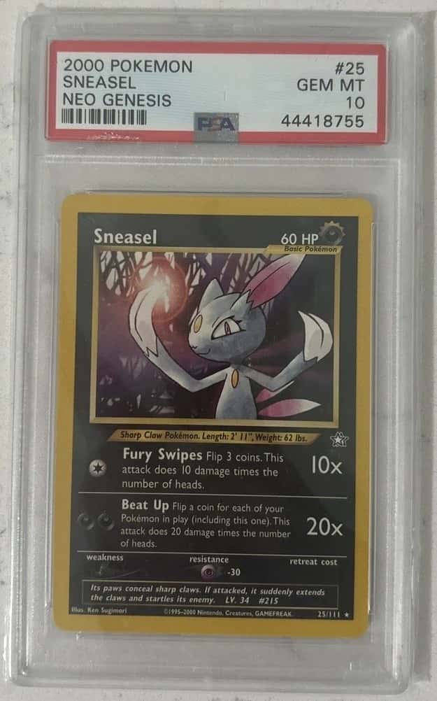 Sneasel
