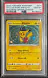 Special Delivery Pikachu