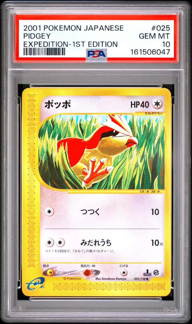 Pidgey