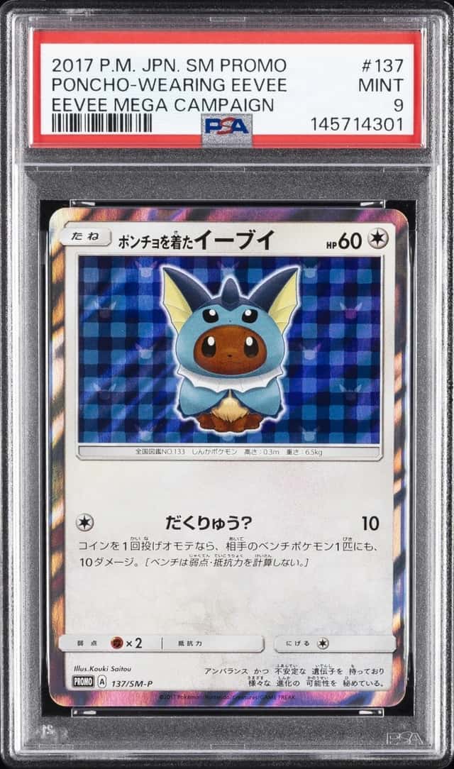 Poncho-wearing Eevee