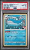 Wailord