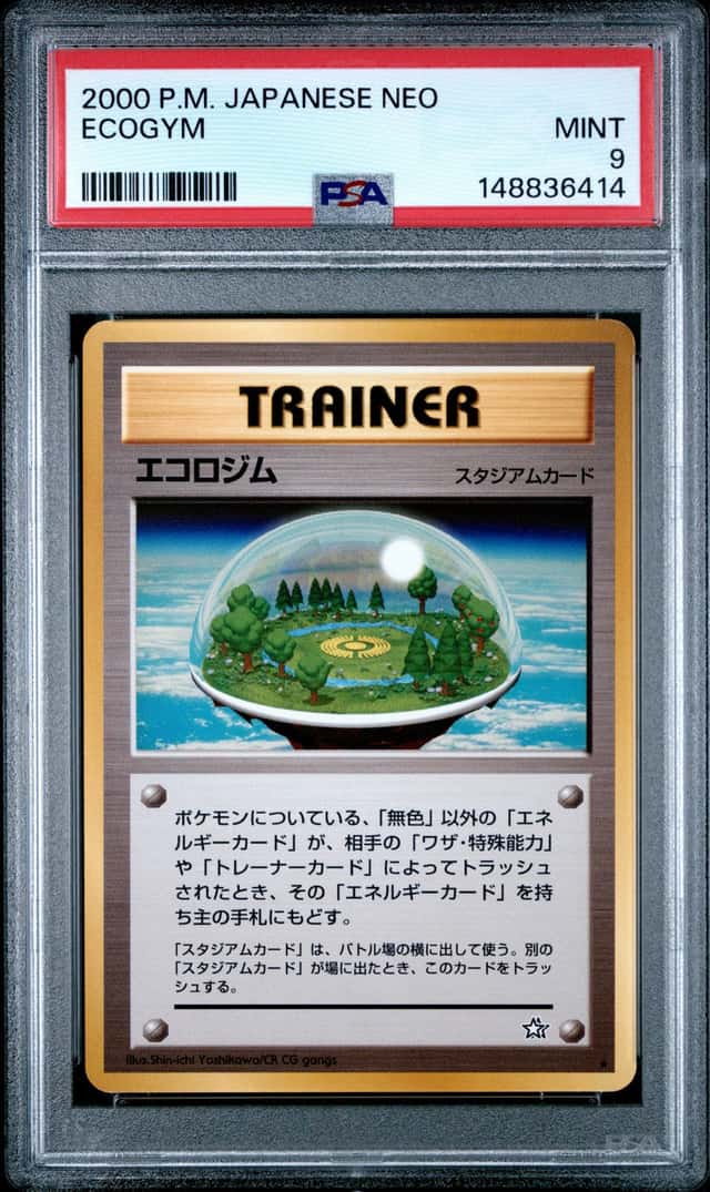 Ecogym