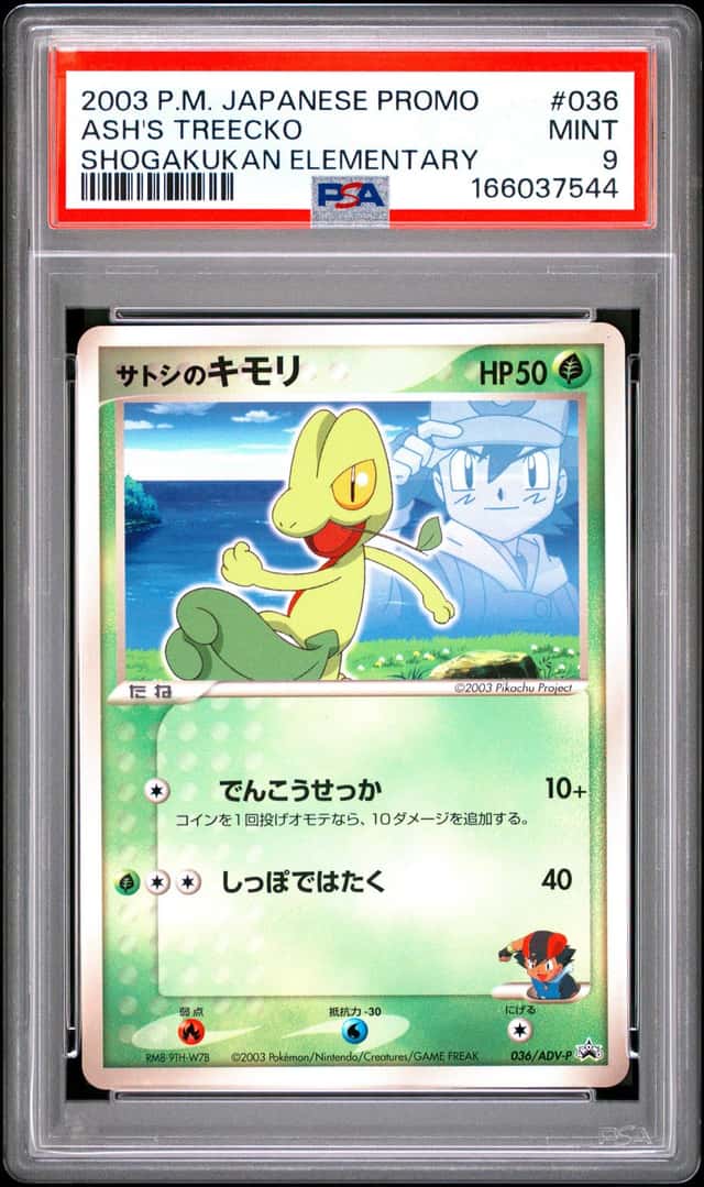 Ash's Treecko