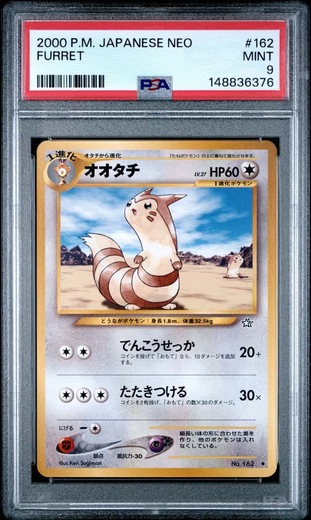 Furret