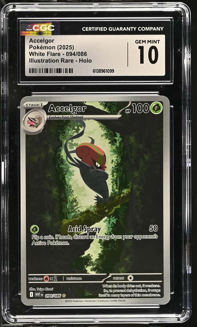 Accelgor