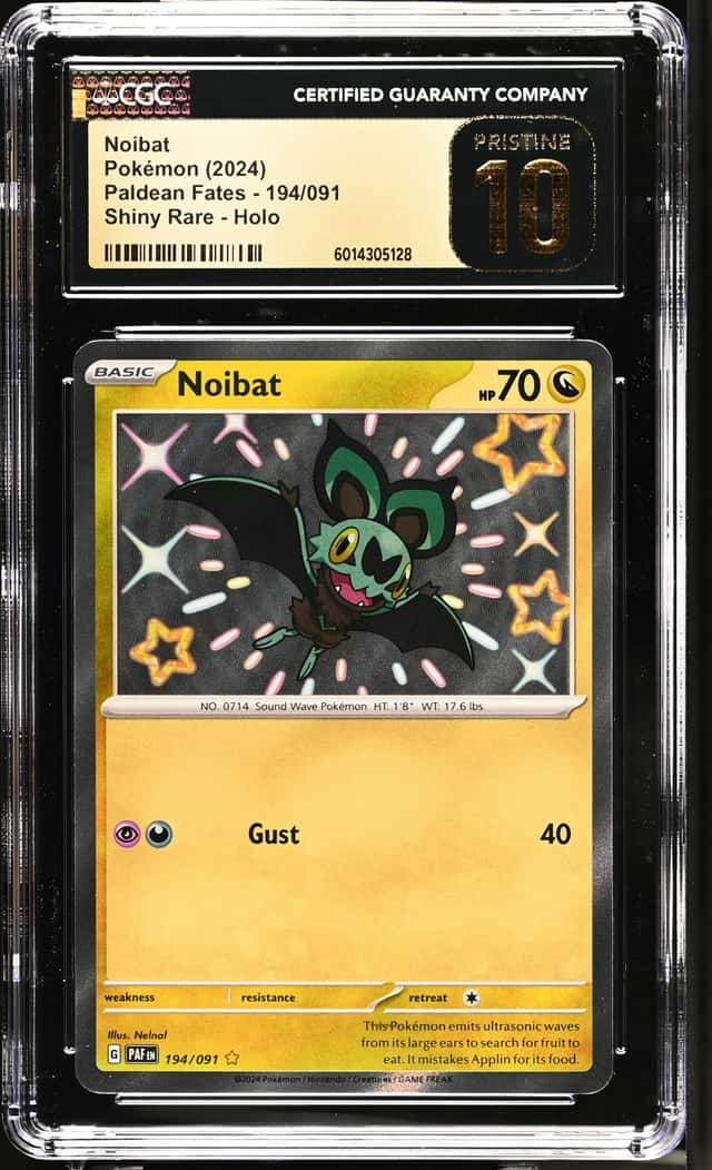 Noibat