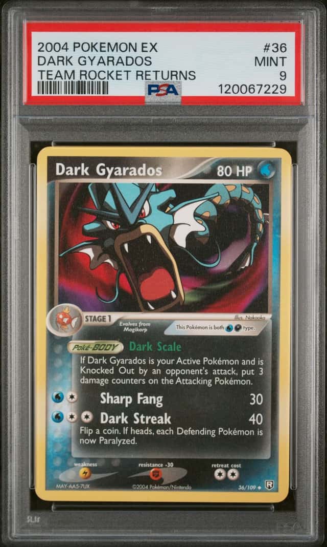 Dark Gyarados