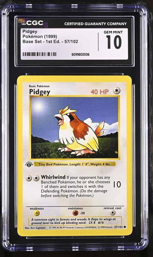 Pidgey