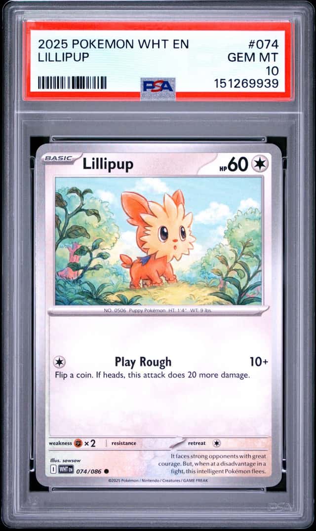 Lillipup