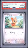 Lillipup