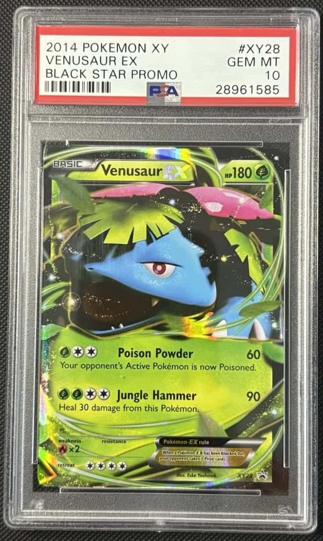 Venusaur EX