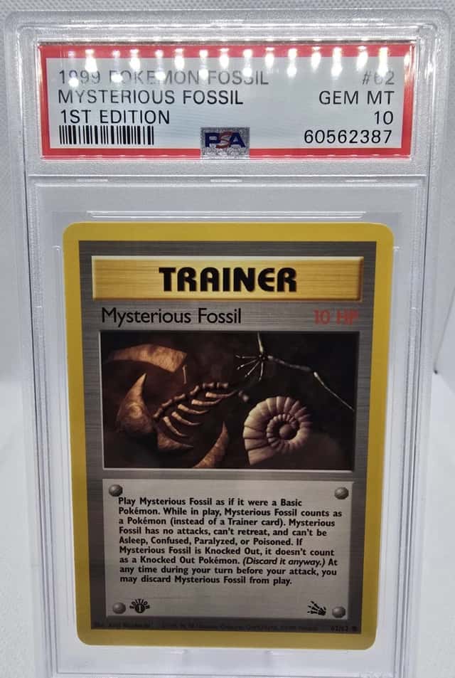 Mysterious Fossil