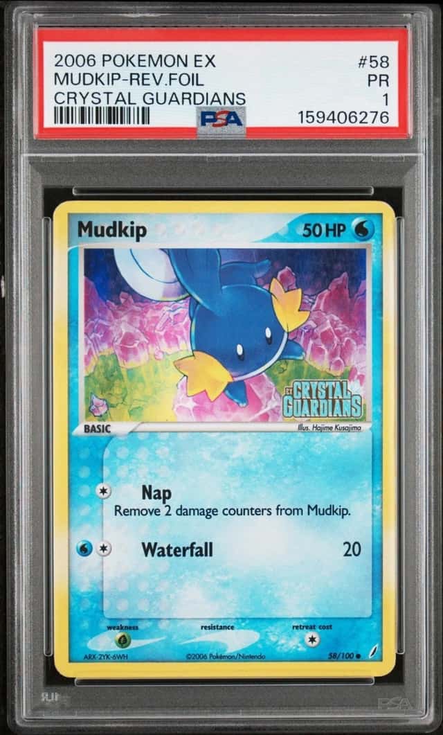 Mudkip
