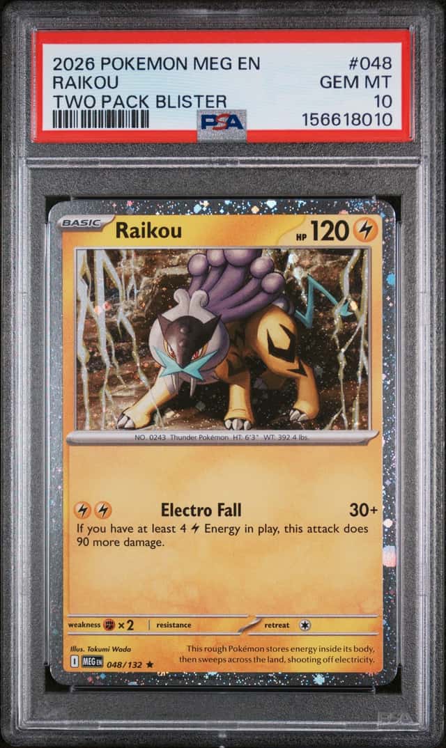 Raikou