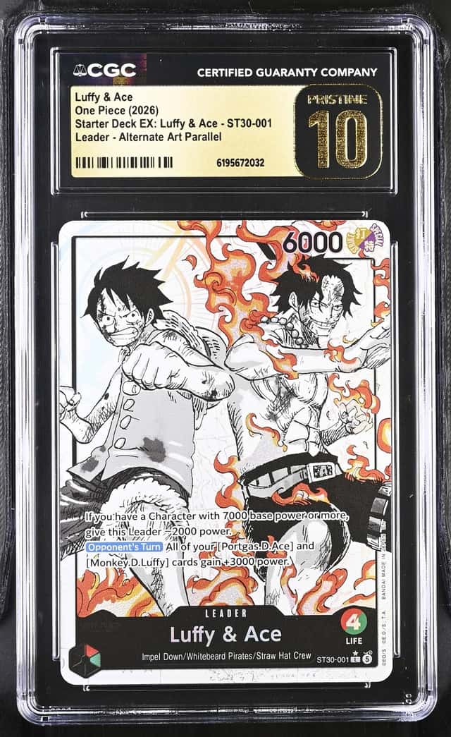 Luffy & Ace