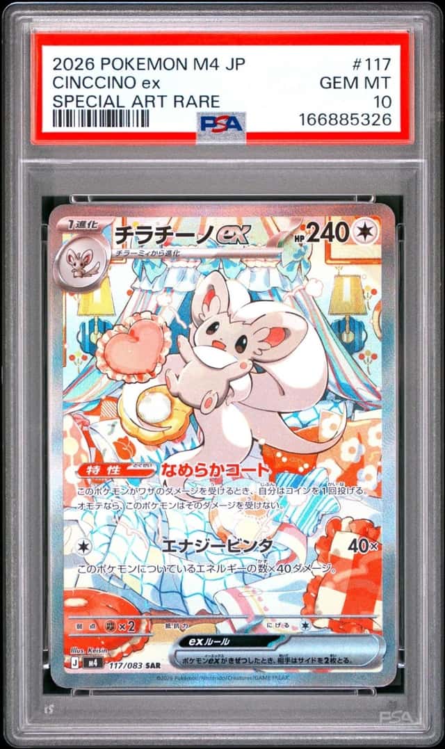 CINCCINO ex