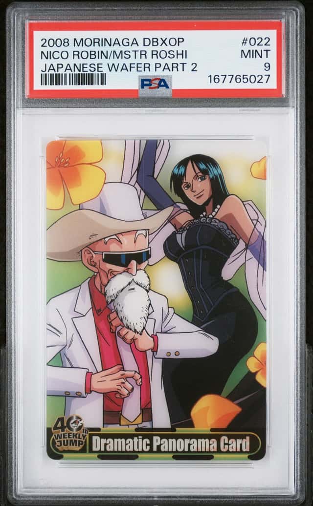 NICO ROBIN/MSTR ROSHI