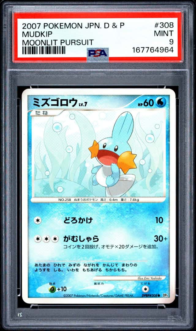 Mudkip