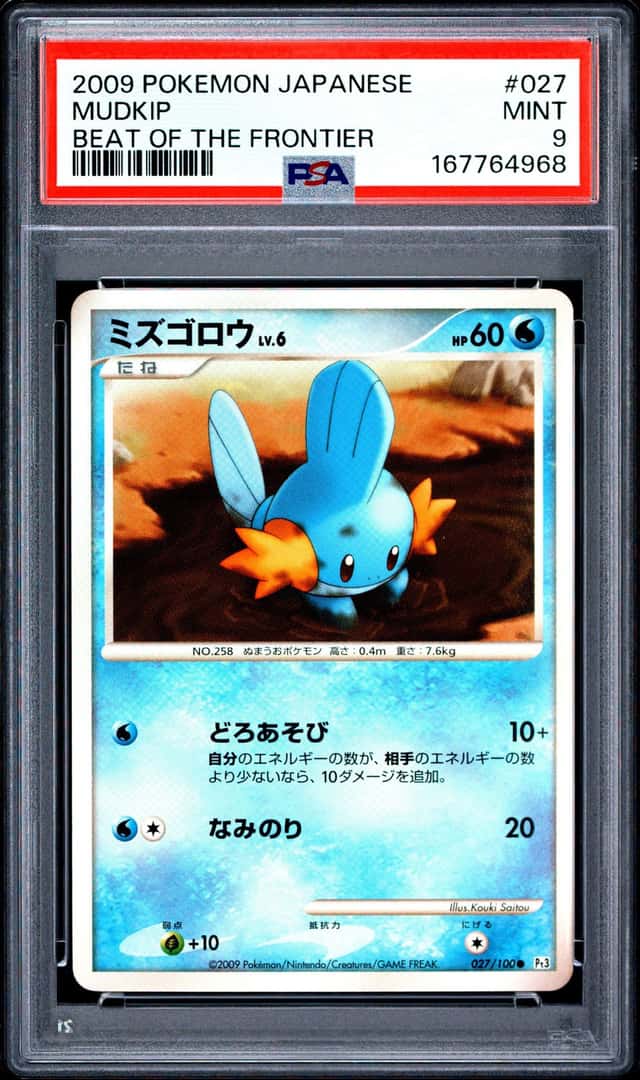 Mudkip