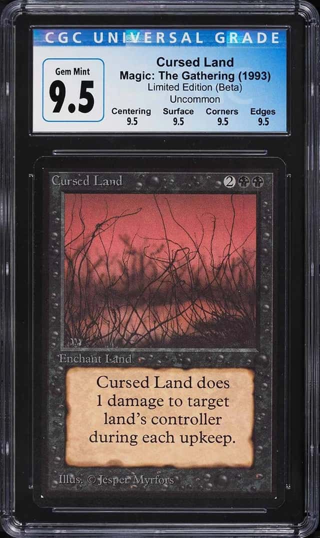 Cursed Land