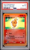 Torchic