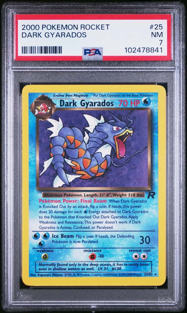 Dark Gyarados