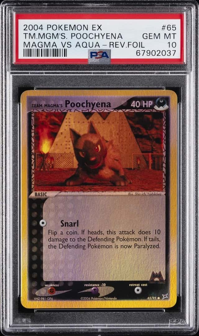 Team Magma's Poochyena