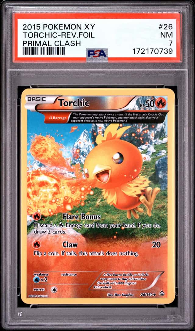 Torchic