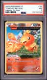 Torchic