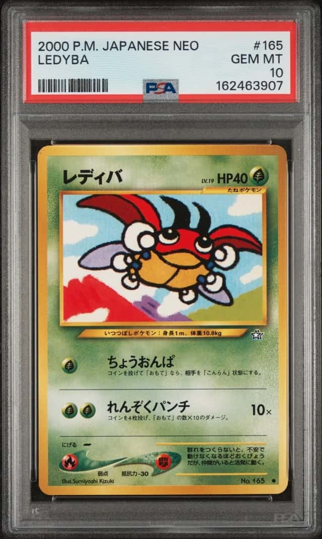 Ledyba