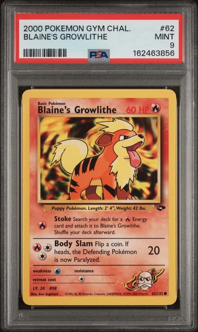 Blaine's Growlithe