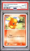 Torchic