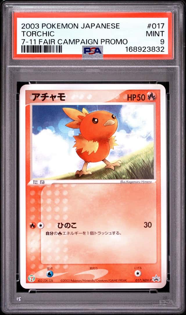 Torchic