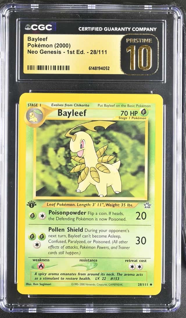 Bayleef
