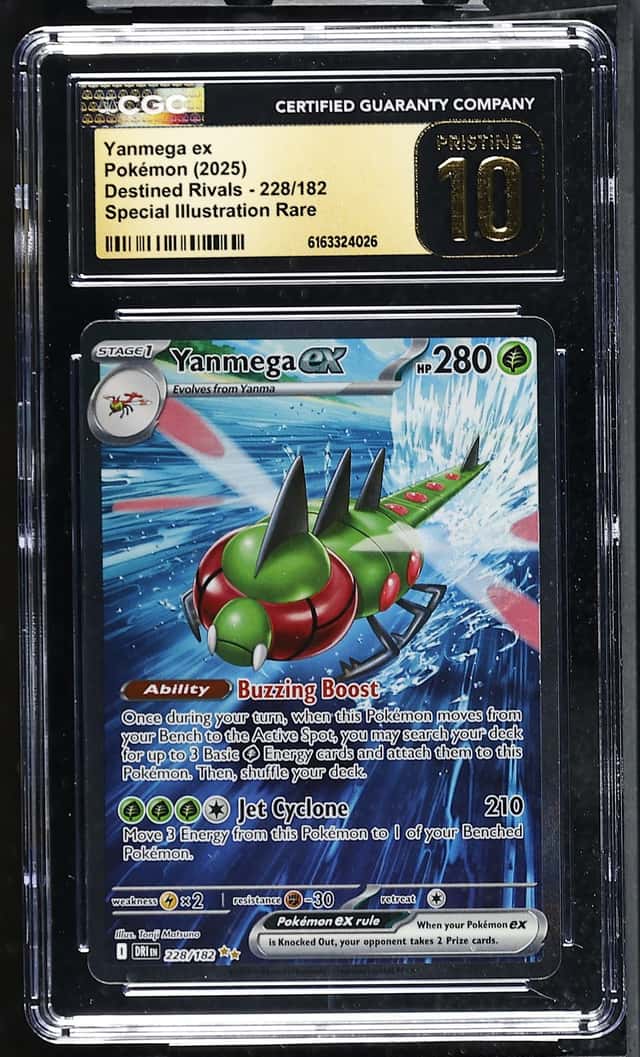 YANMEGA ex