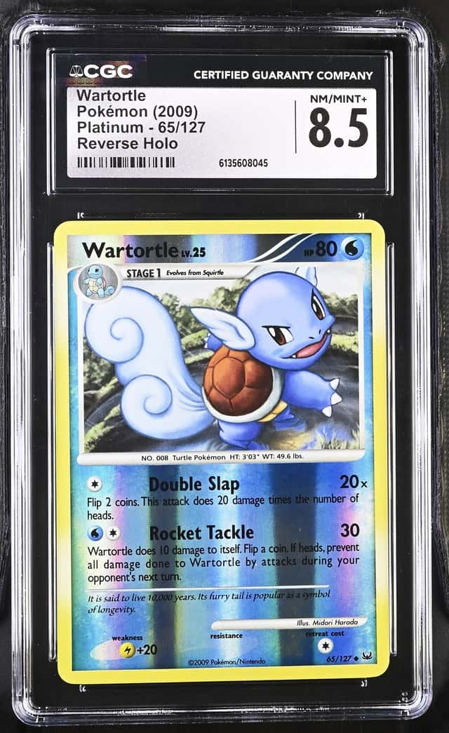 Wartortle