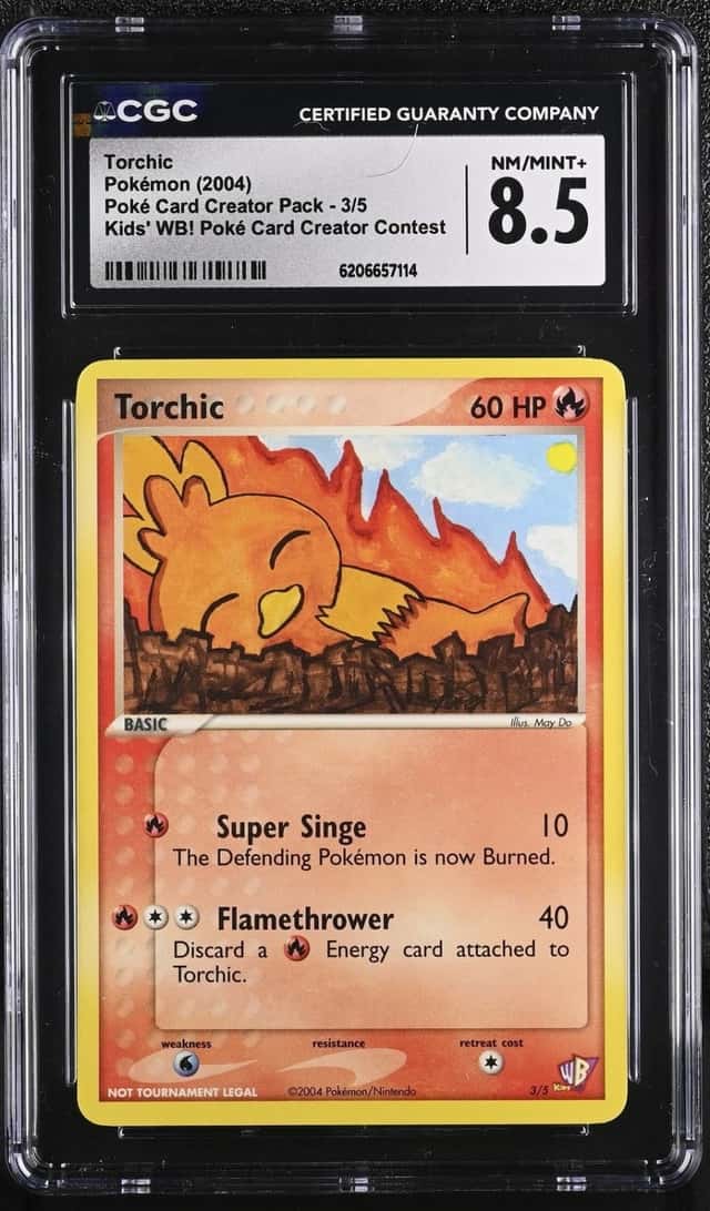 Torchic