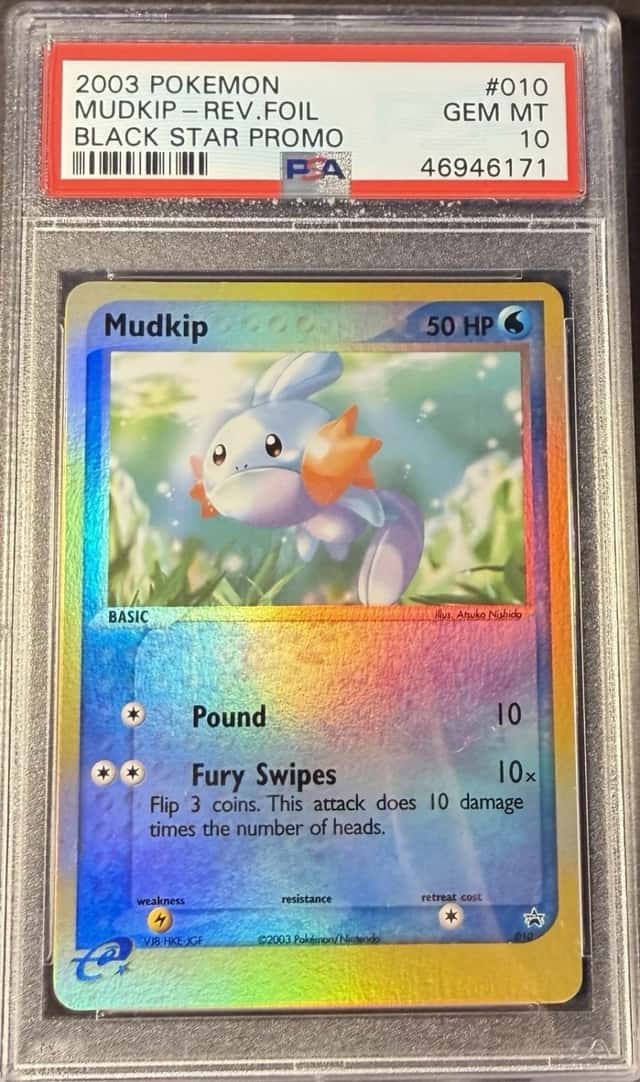 Mudkip