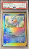 Mudkip