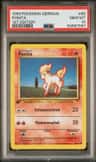 Ponyta