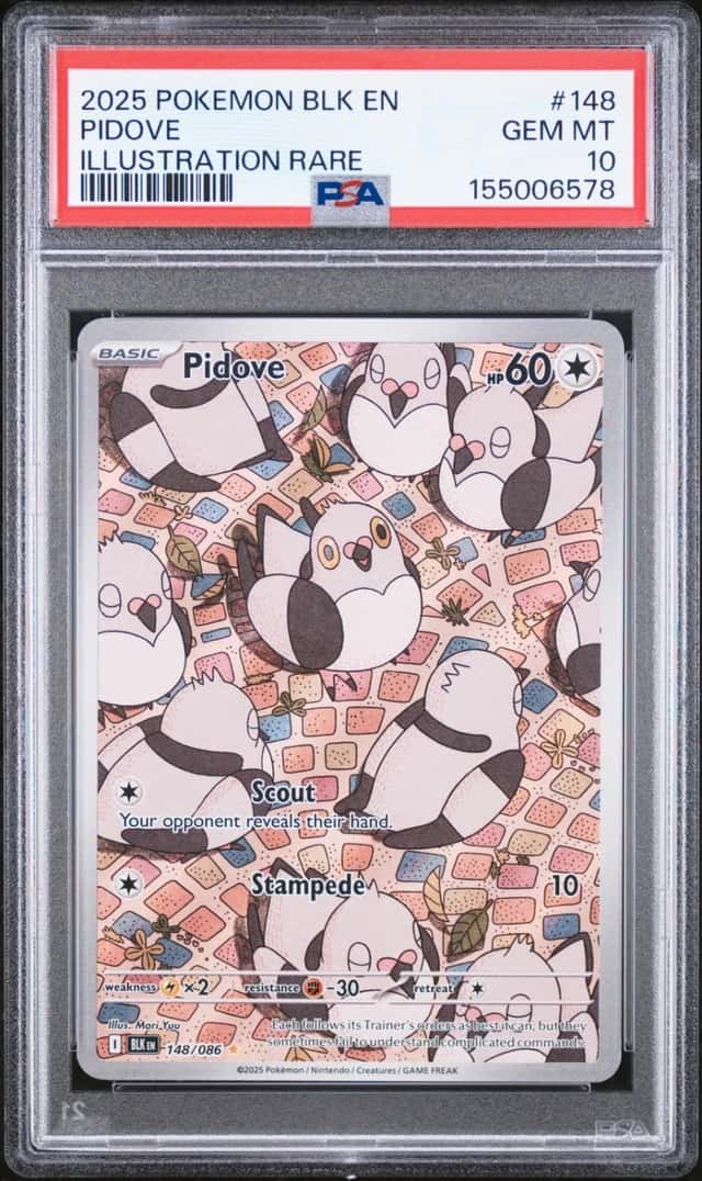 Pidove