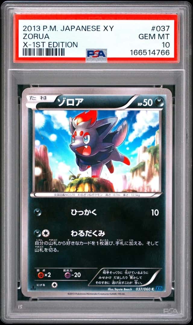 Zorua
