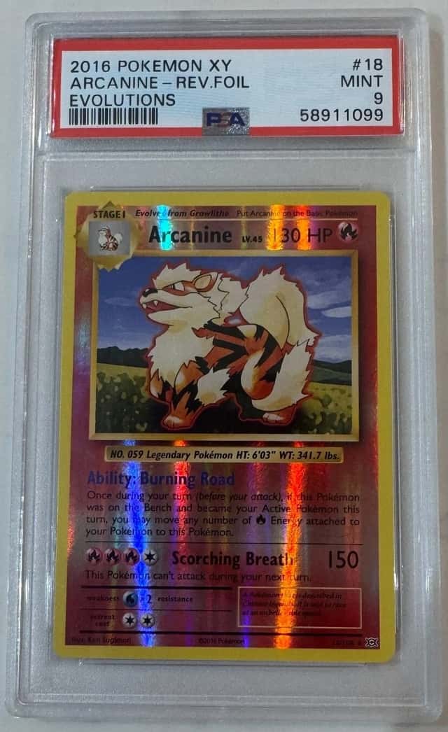 Arcanine