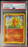 Torchic