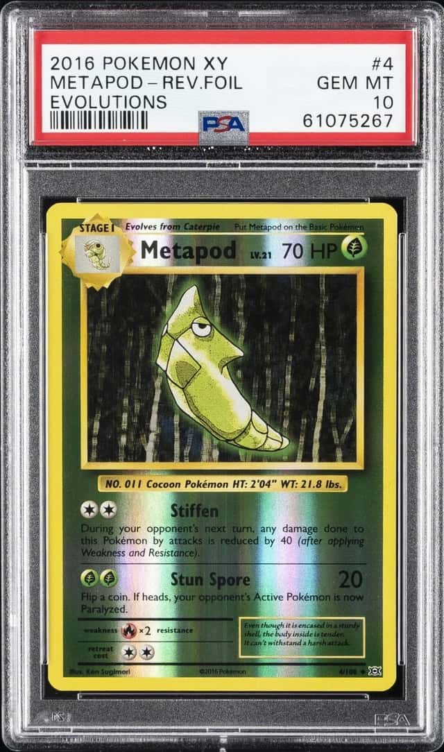 Metapod