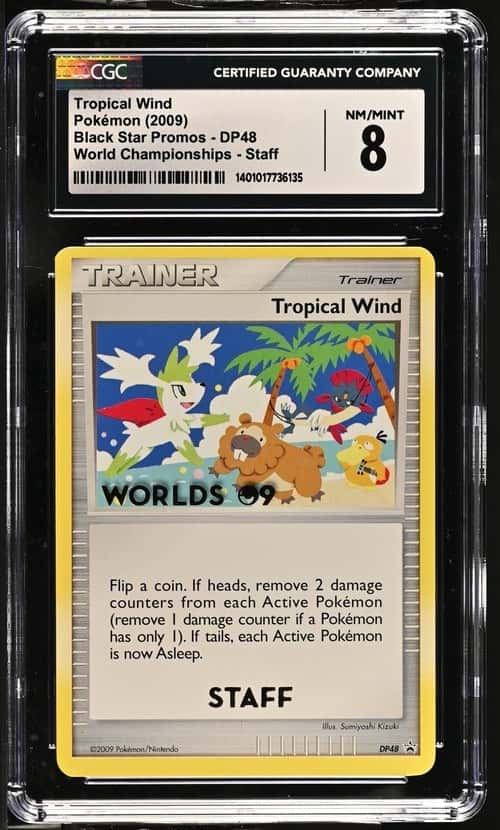 Tropical Wind