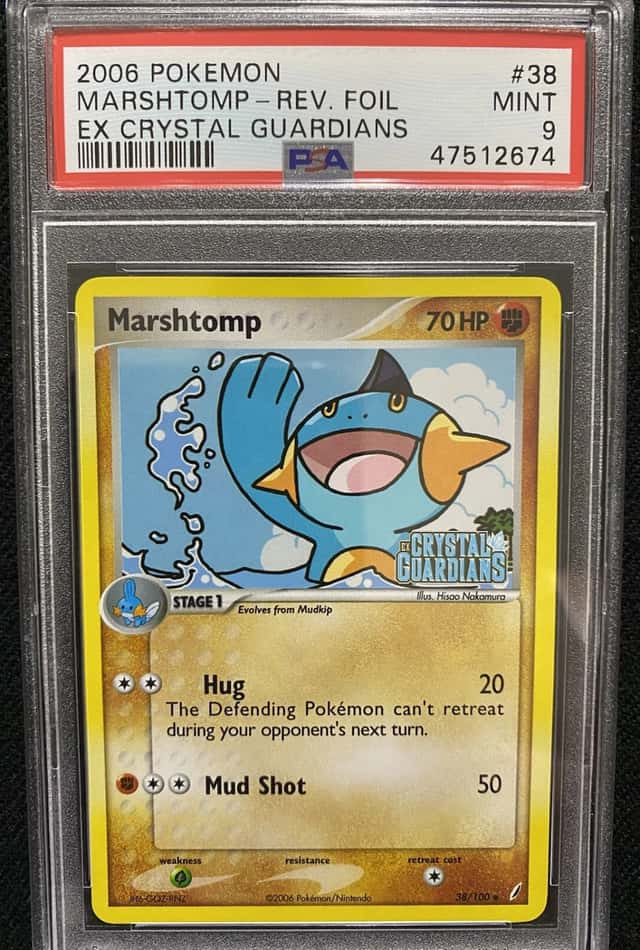 Marshtomp